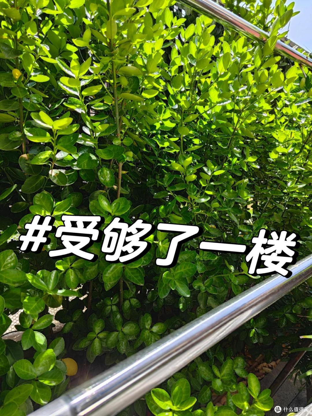 10层以下的房子,4楼不能买?过来人:这3个楼层是真不能买