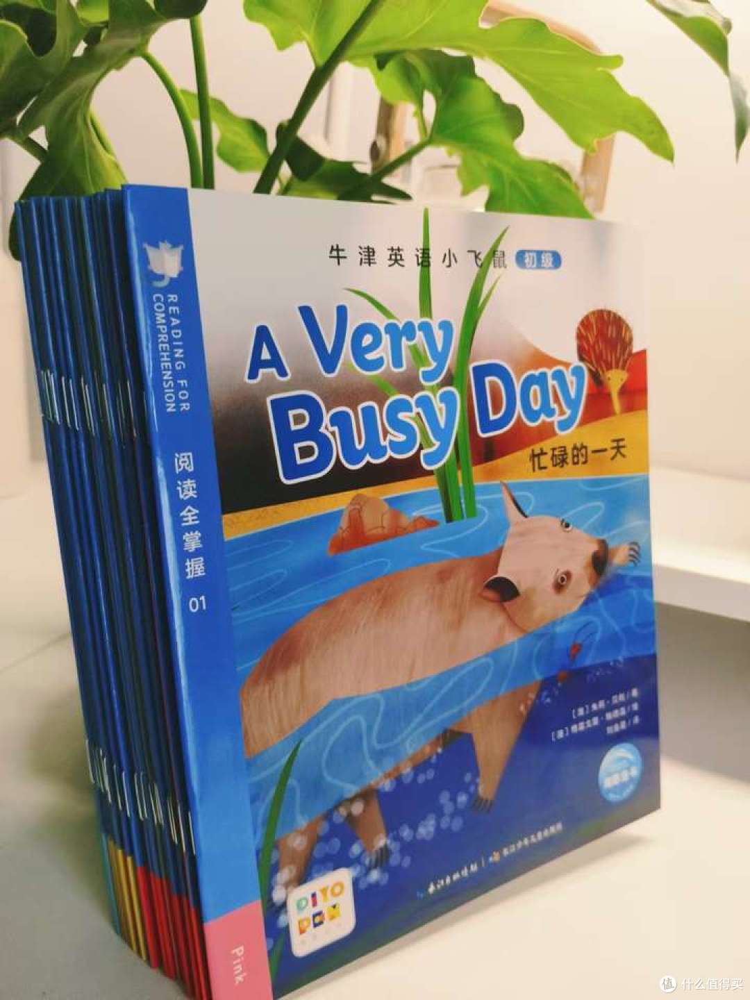 孩子英语阅读理解不好,很焦虑怎么办?