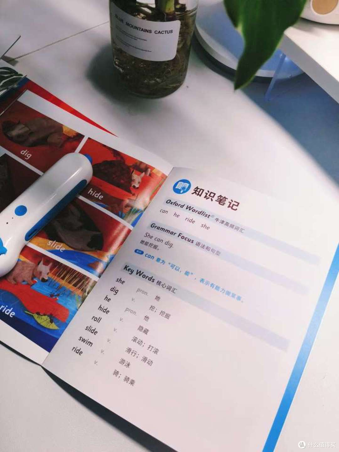孩子英语阅读理解不好,很焦虑怎么办?