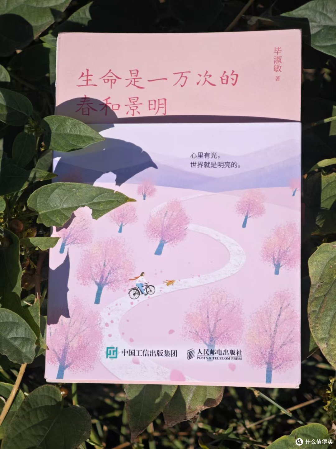 《生命是一万次的春和景明》:成长也是一种美好