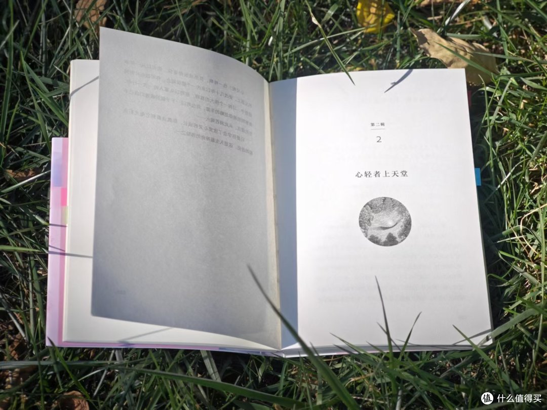 《生命是一万次的春和景明》:成长也是一种美好