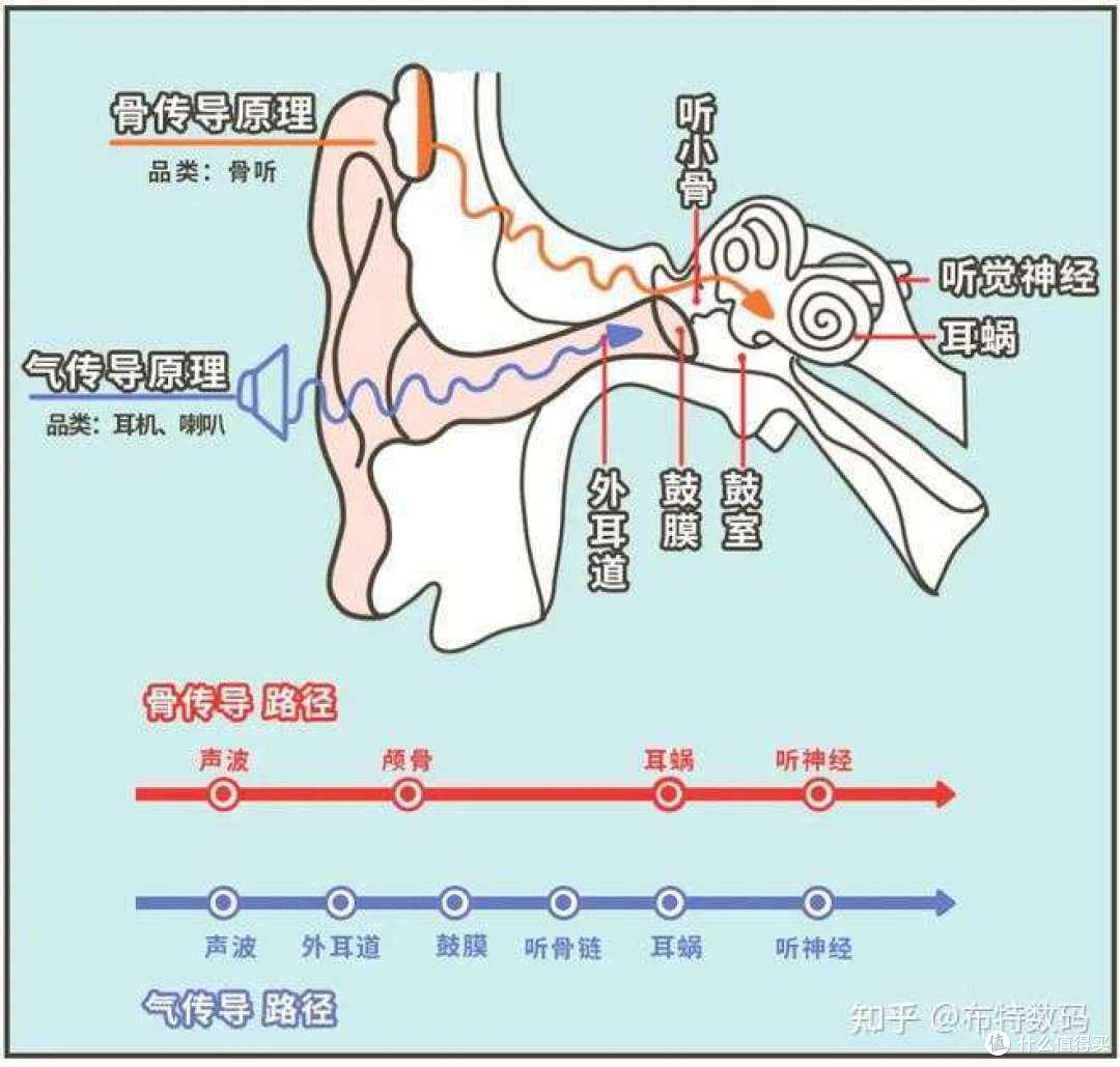 气传导耳机和骨传导耳机,选择哪种类型比较好?怎样选择一款音质自然通透的开放式耳机呢?