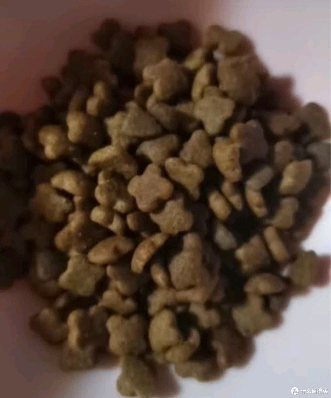 伯纳天纯猫粮,让喵星人爱上吃饭!