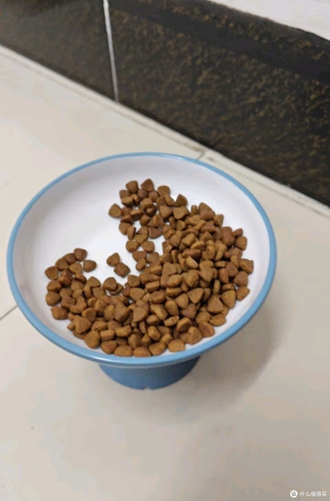 伯纳天纯猫粮,让喵星人爱上吃饭!