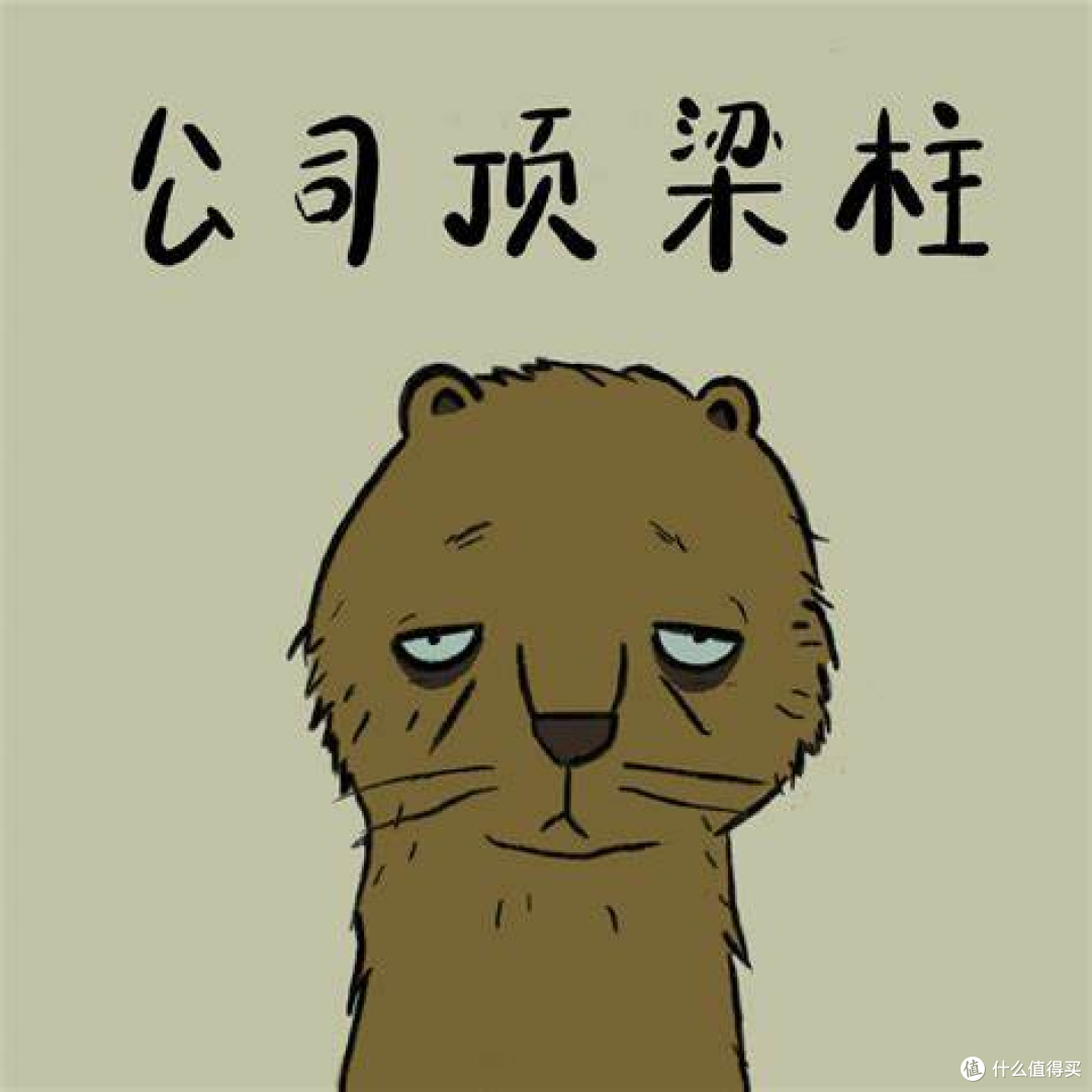 办公室还是放个茶水分离杯比较靠谱，今后就这么喝茶了