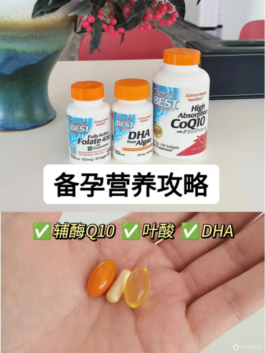 备孕营养(辅酶q10、叶酸、DHA)补充指南,新手爸妈别乱买乱补备孕营养攻略,辅酶q10、叶酸、DHA如何补