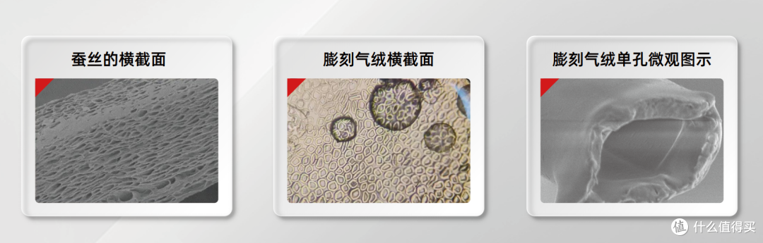 堪比羽绒、蚕丝被,自带温控百元价位的恬派膨刻气绒被可真香!