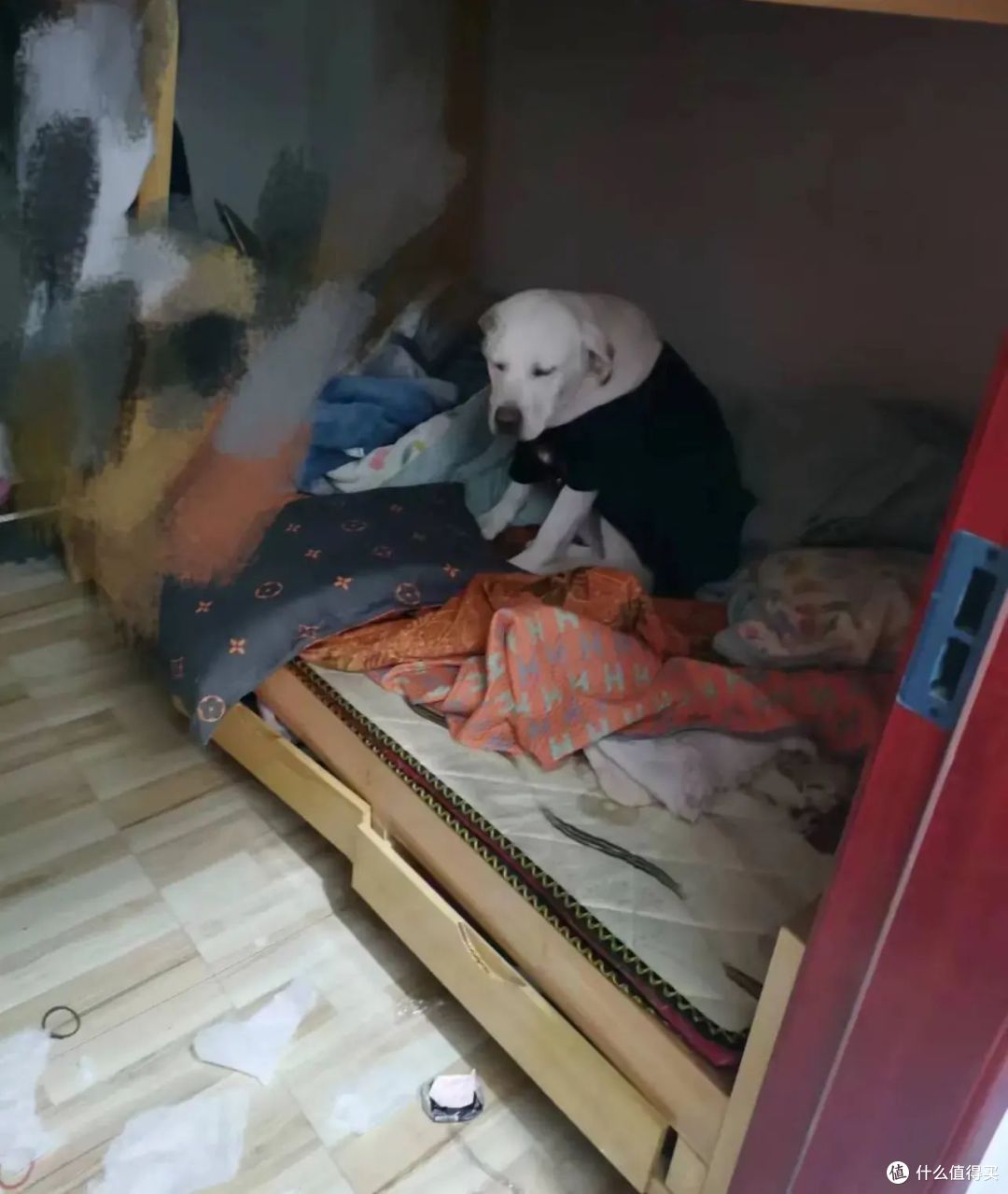 22件因“忘记”而引发的家居惨案,引以为戒!