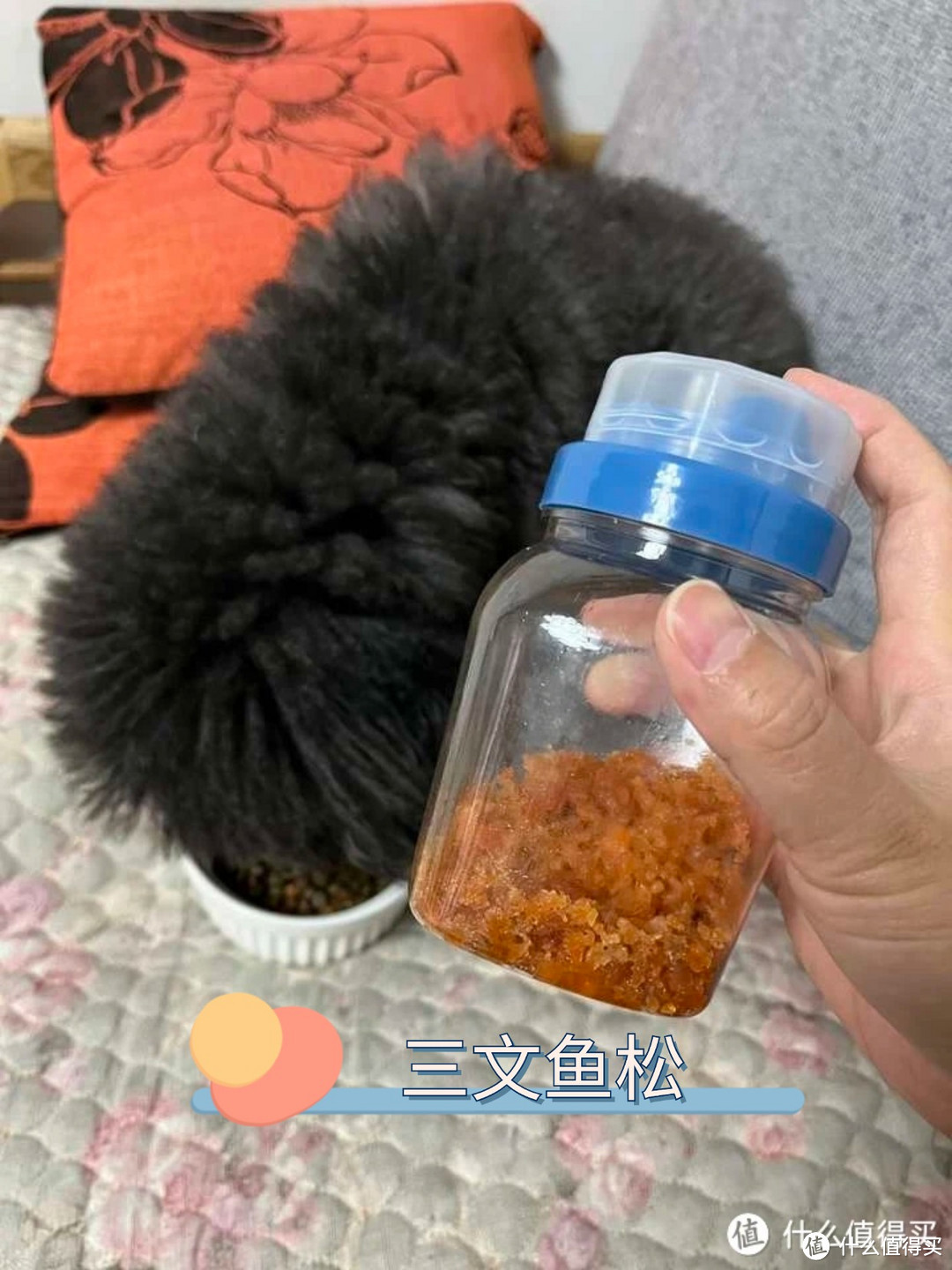 狗狗毛发不好吃什么？双11购物清单