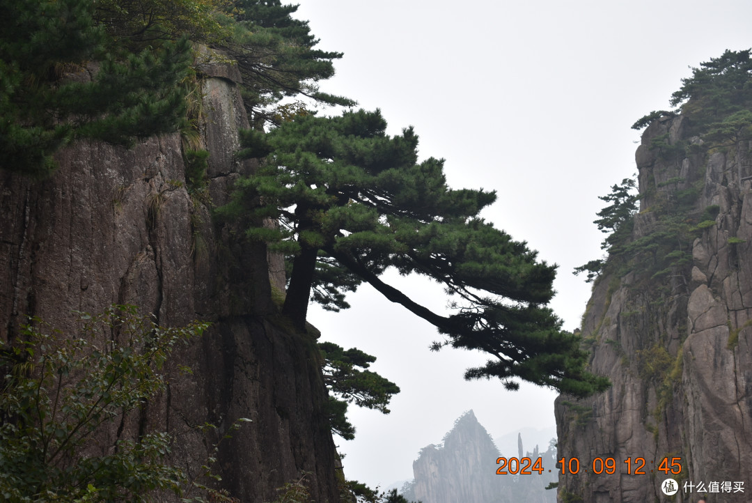 带着75岁的老太太游黄山 续篇(怎样充分利用足190元的门票)