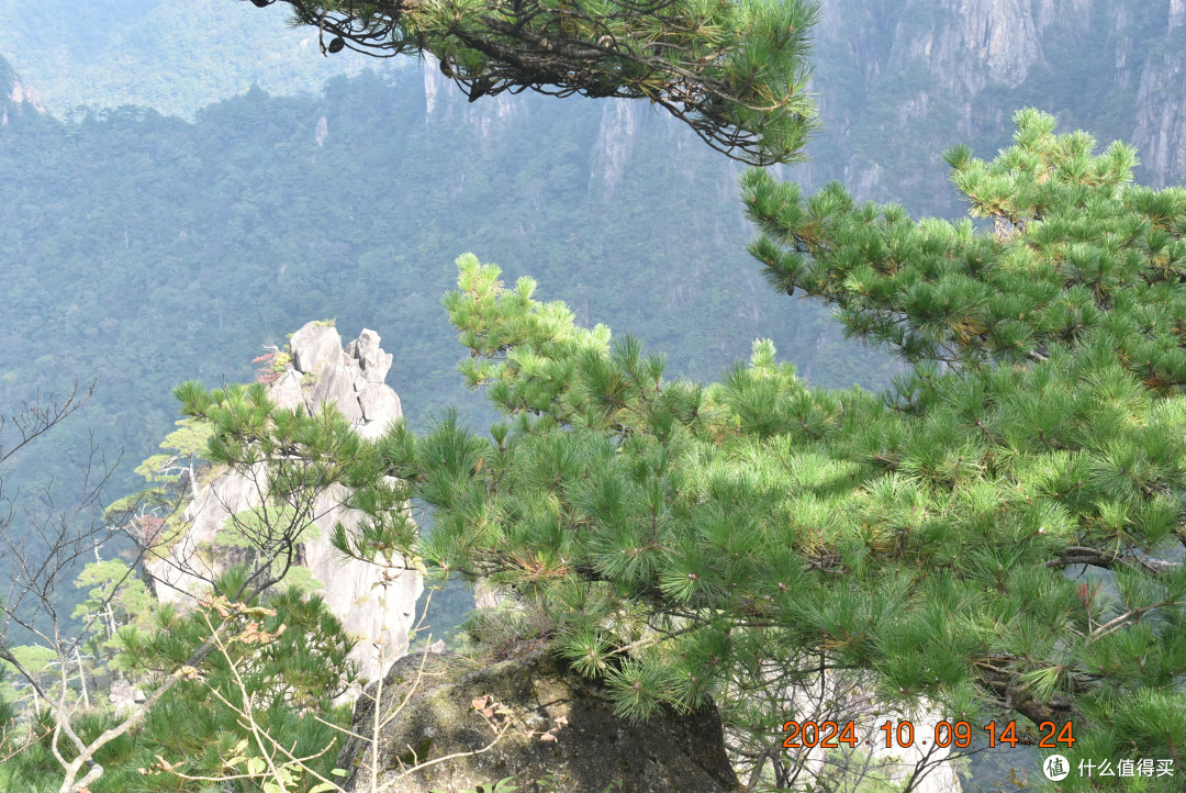 带着75岁的老太太游黄山 续篇(怎样充分利用足190元的门票)
