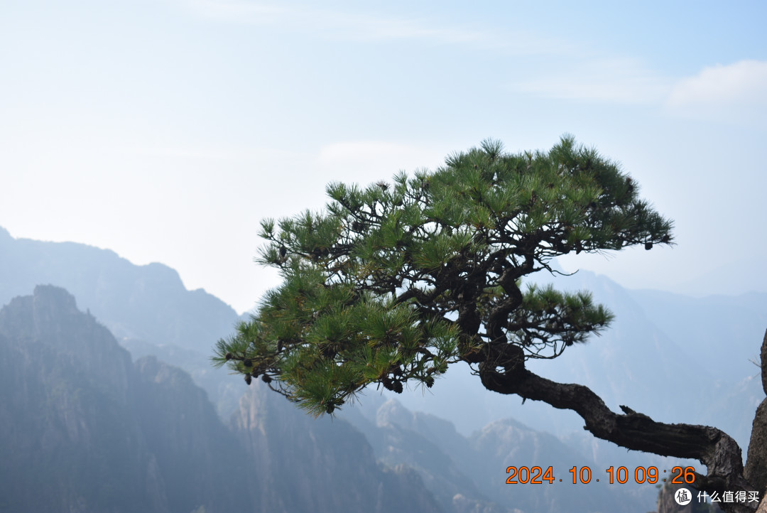 带着75岁的老太太游黄山 续篇(怎样充分利用足190元的门票)