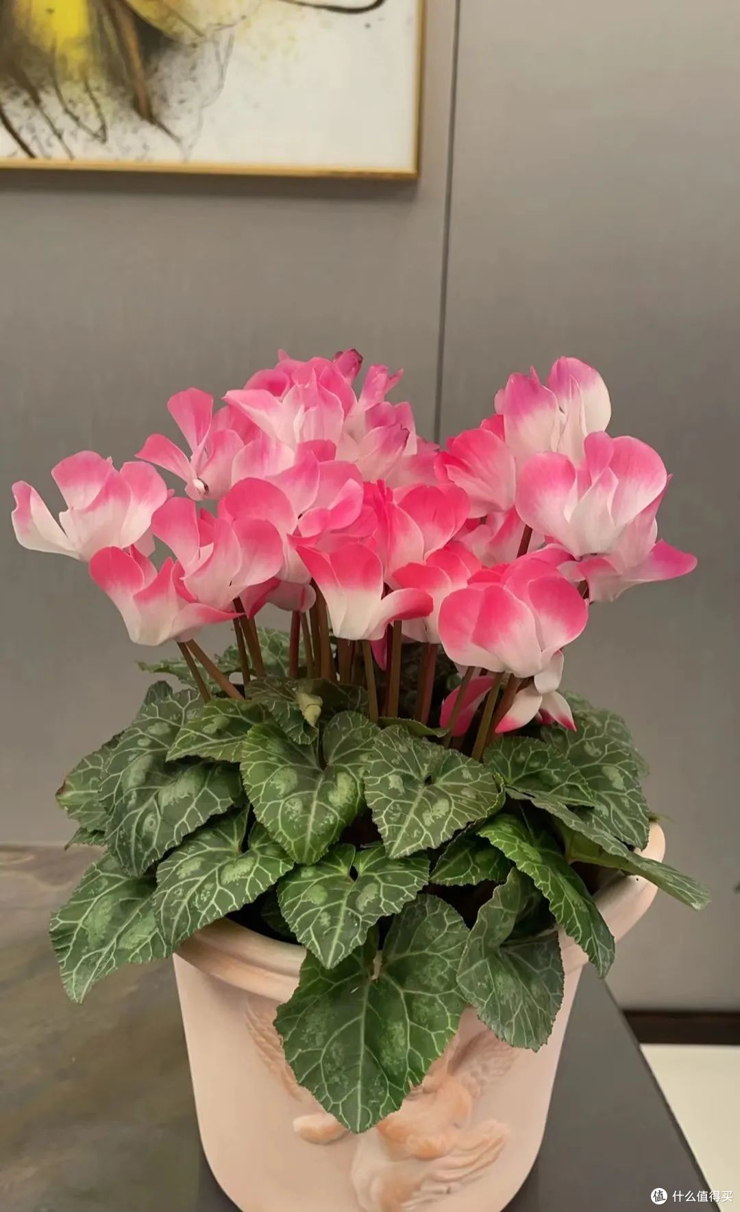 5种花冬天可“别剪”,越剪越不开花,救不回来!