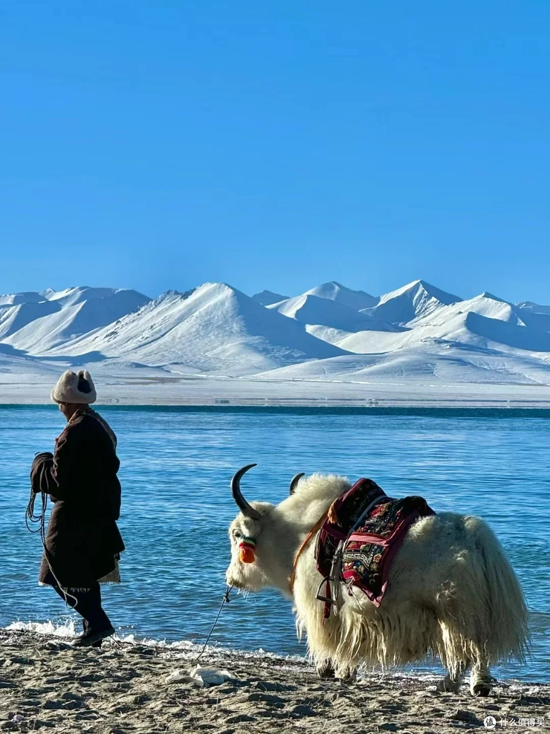 西藏,心归神秘之旅!