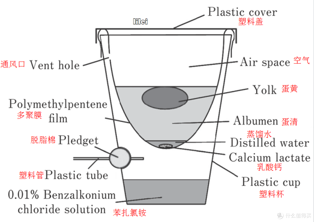 真的假的，无壳竟然也能孵化小鸡？