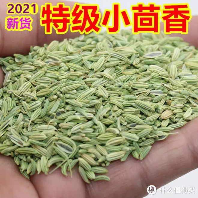 茴香和孜然一样吗？哪种香味浓郁？