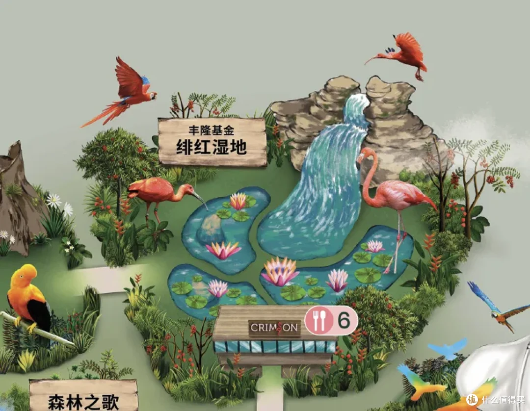 新加坡前总理用什么相机拍鸟?