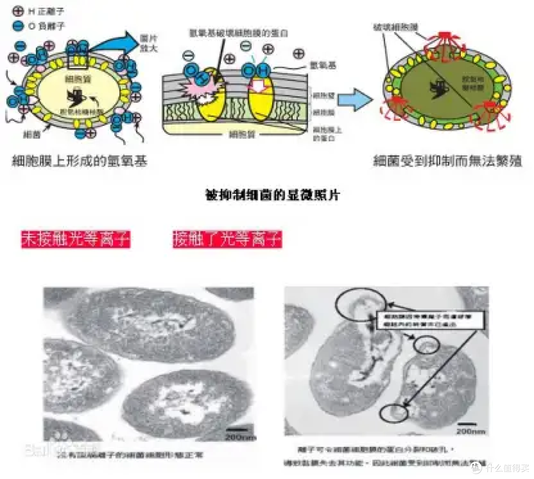 【洗烘套装实测+理论】有必要买洗烘套装？海尔云溪白376洗烘套装真实使用分析，挑选洗烘套装怎么避坑