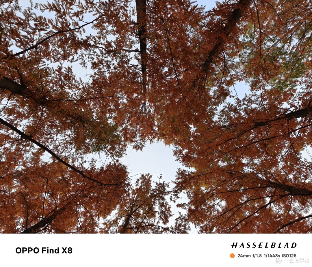 OPPO Find X8手机,普通用户的超值选择?
