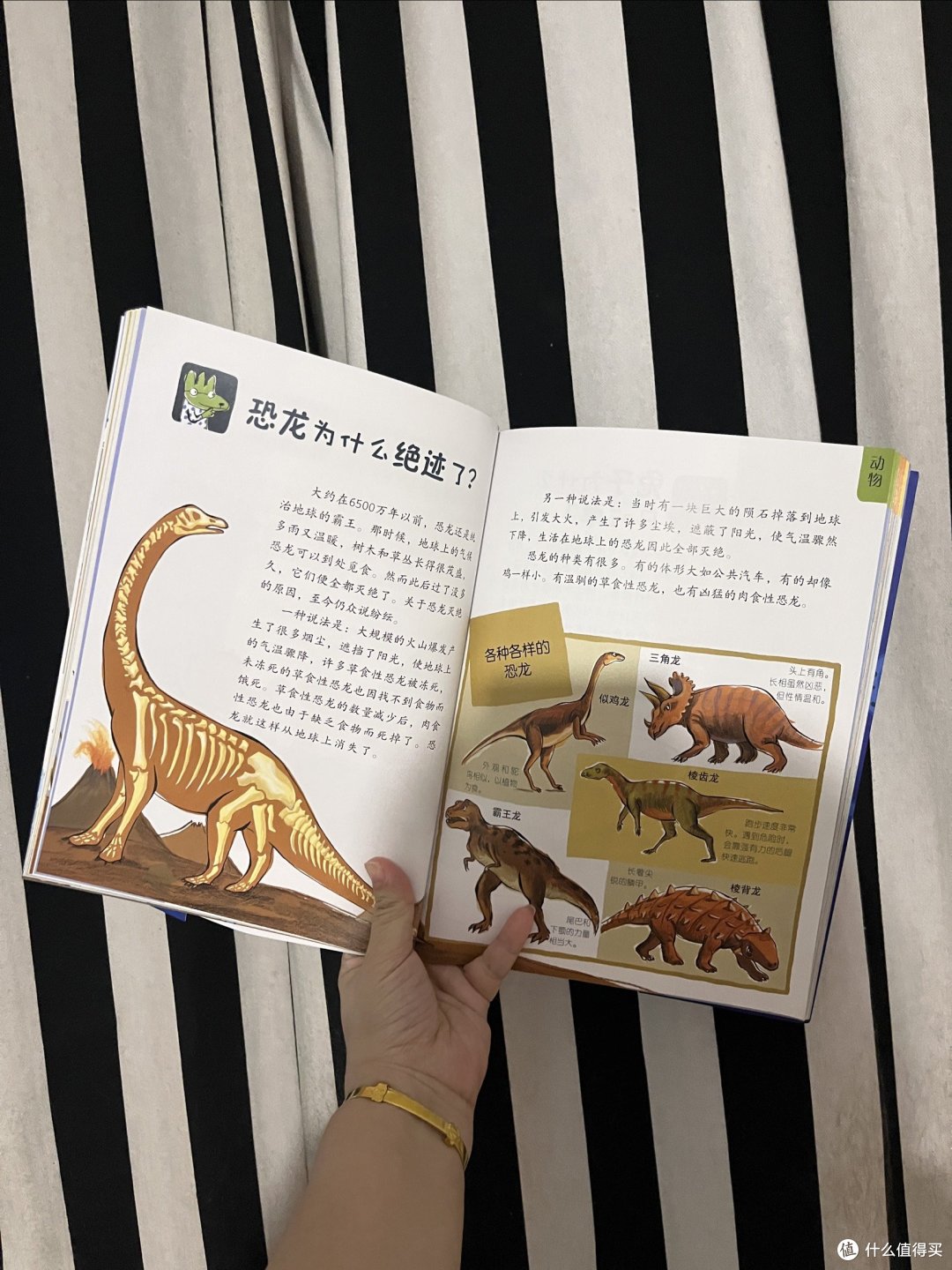 一本满足五岁萌娃求知欲的超值读物,入手不亏!