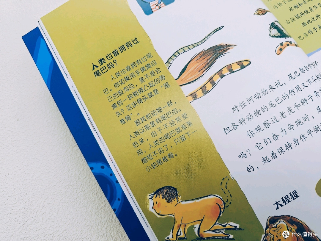 📖《儿童好奇心大百科》:点亮孩子求知之光🌟