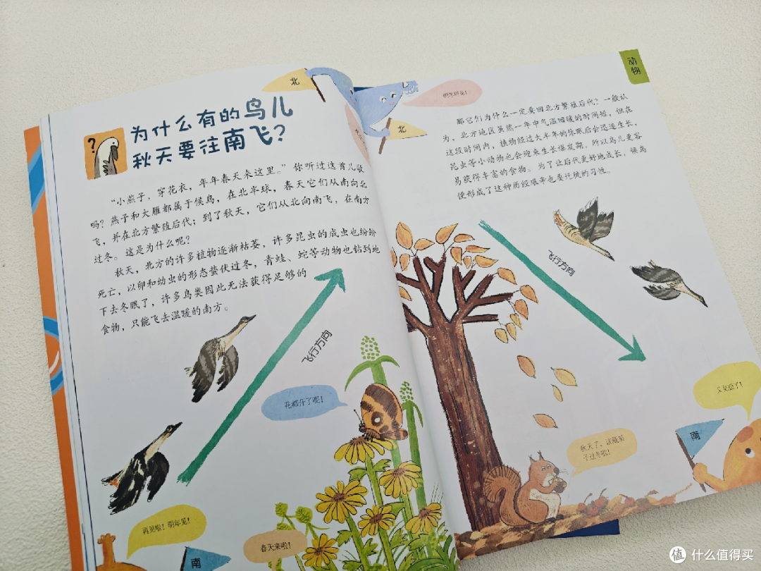 📖《儿童好奇心大百科》:点亮孩子求知之光🌟