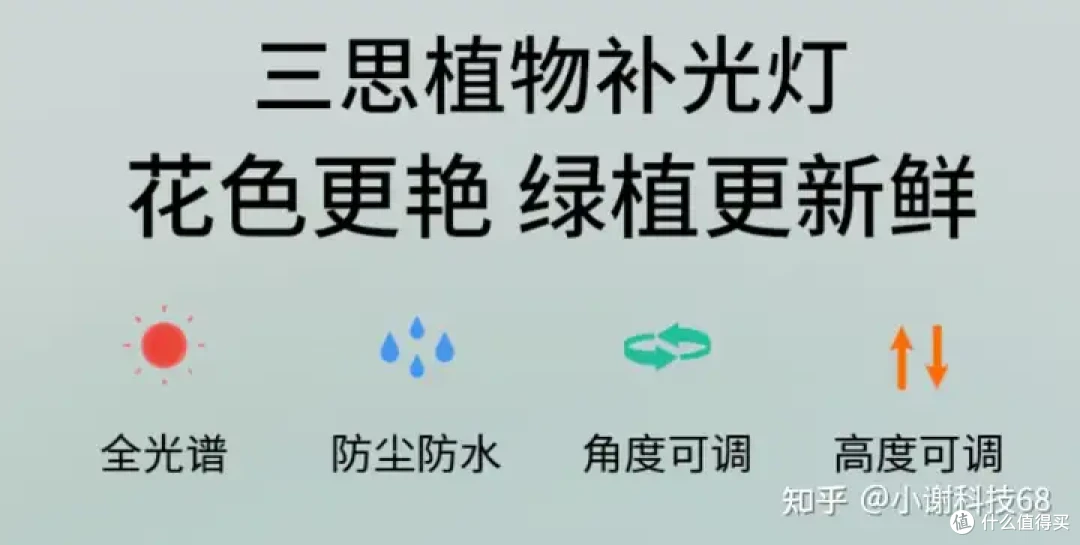 种植七彩辣椒,你学会了吗