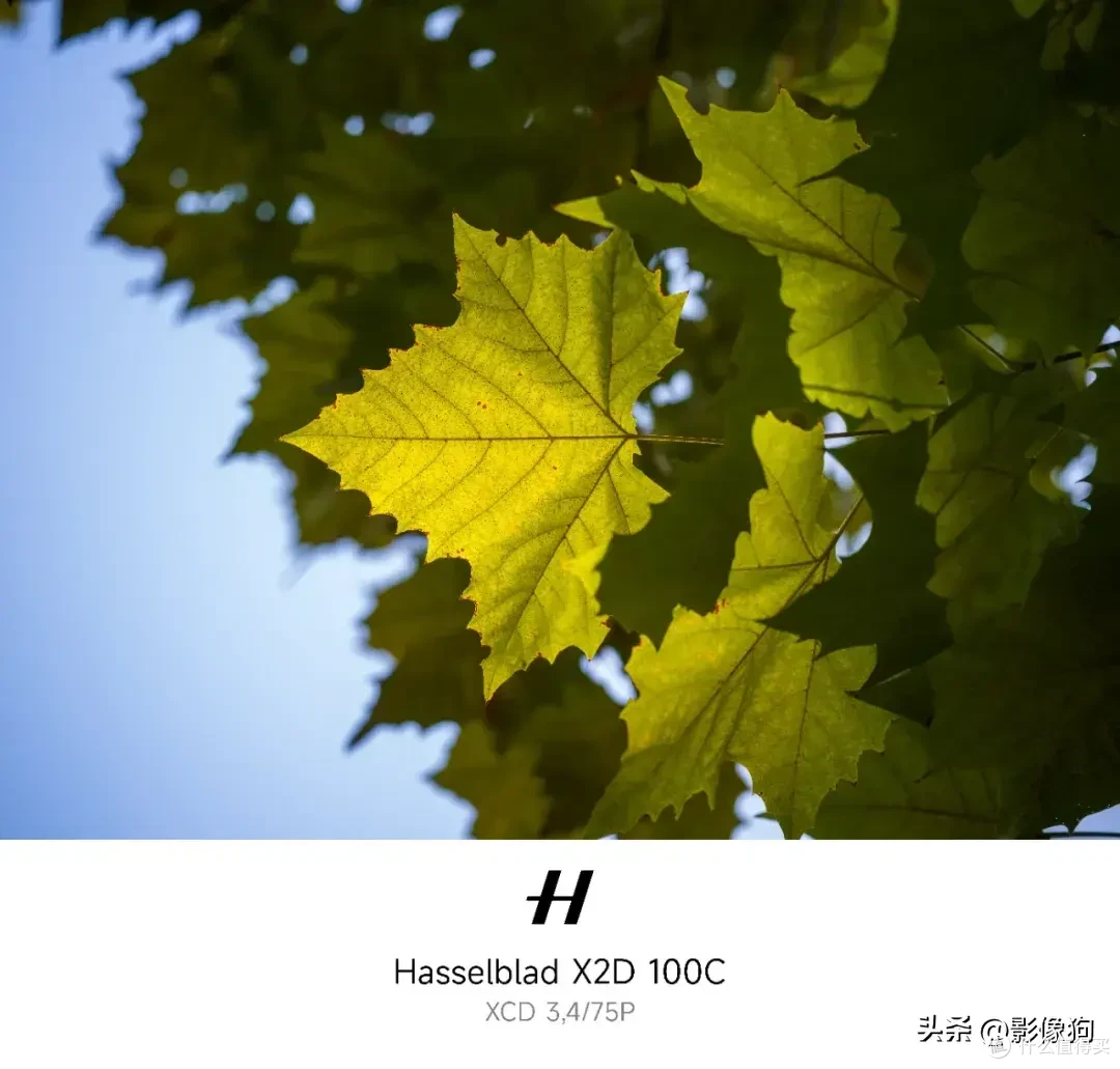 中画幅≠笨重！哈苏 XCD 3,4/75P