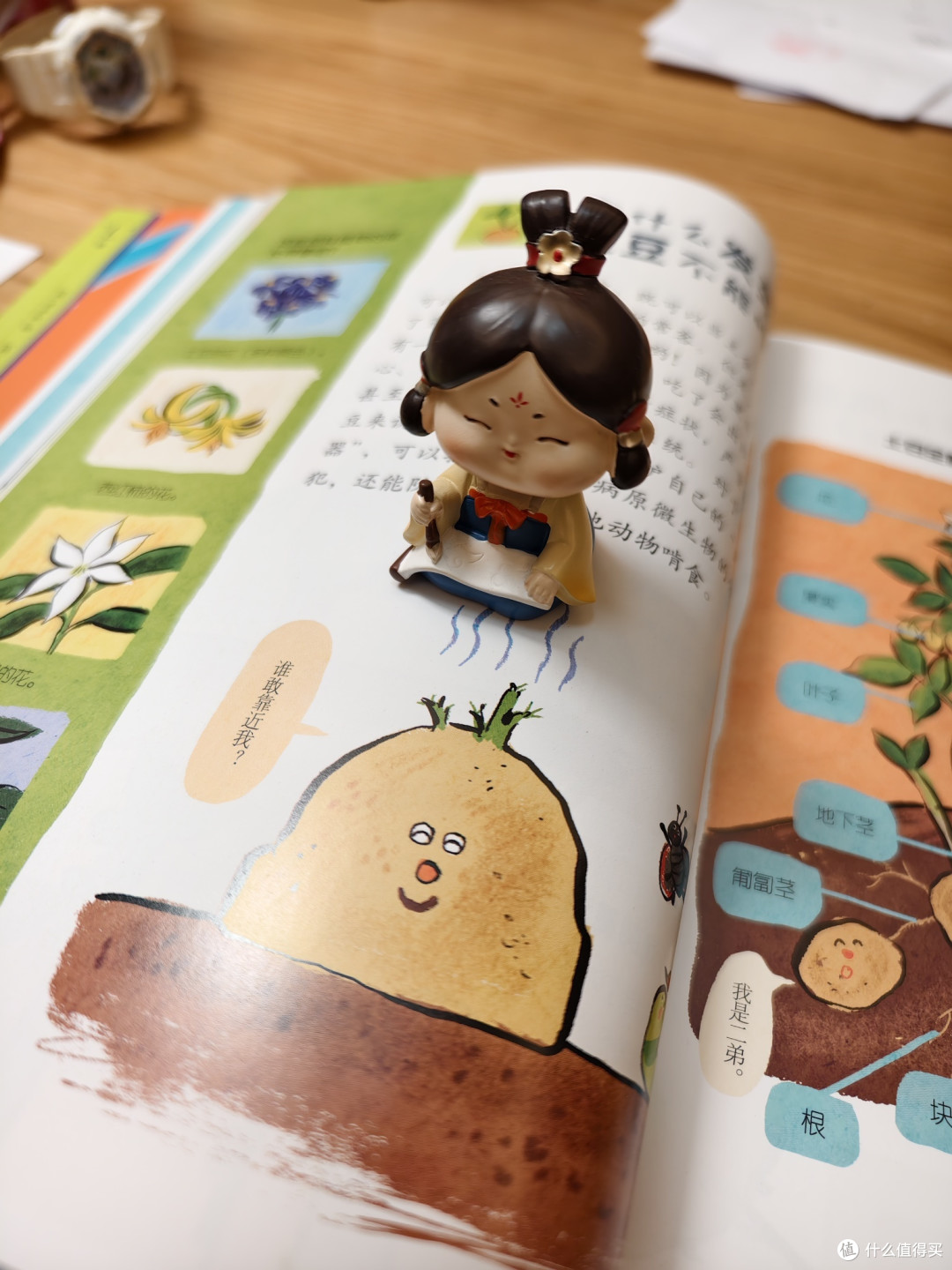 永远年轻就是永远保持好奇心——好书推荐之《儿童好奇心大百科》