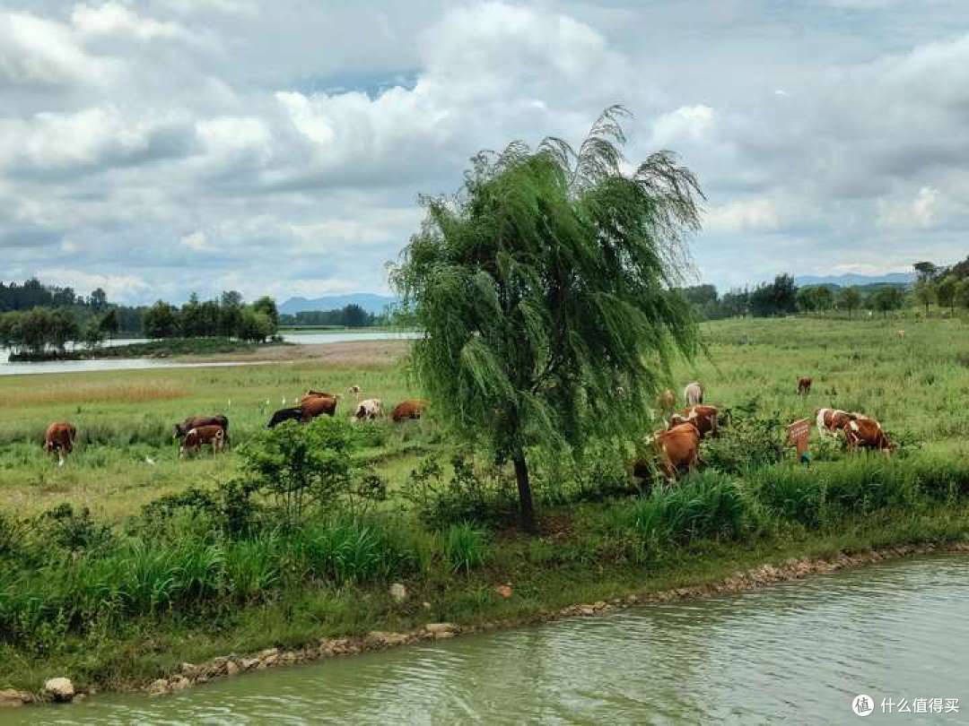 探秘桂黔滇,半个月旅游新体验16-南宁菜市场+旅程总结