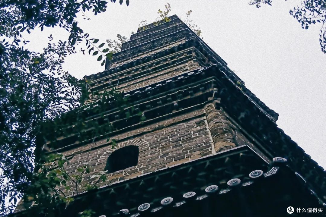 周末又多了一个宝藏去处,这份吸氧指南请收下!