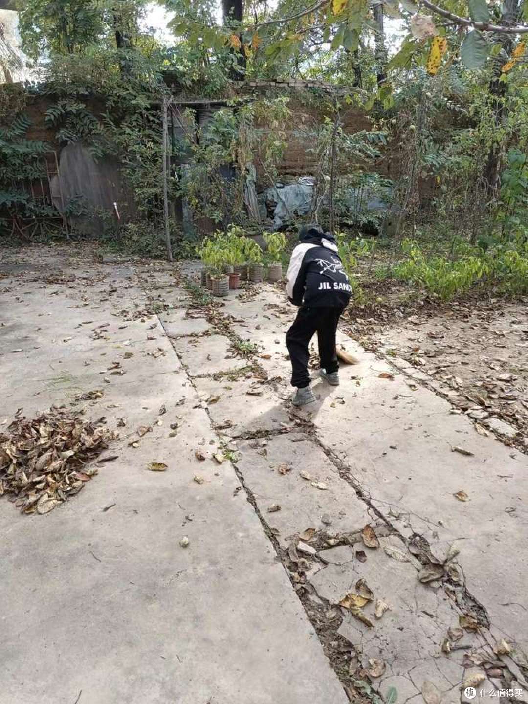 荒芜的院子，孩子经过三次的努力，就会整理了