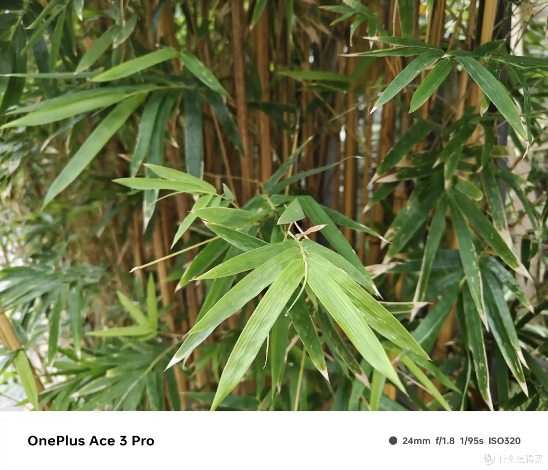 发售3个月，一加 ACE 3 Pro是否依然“真香”