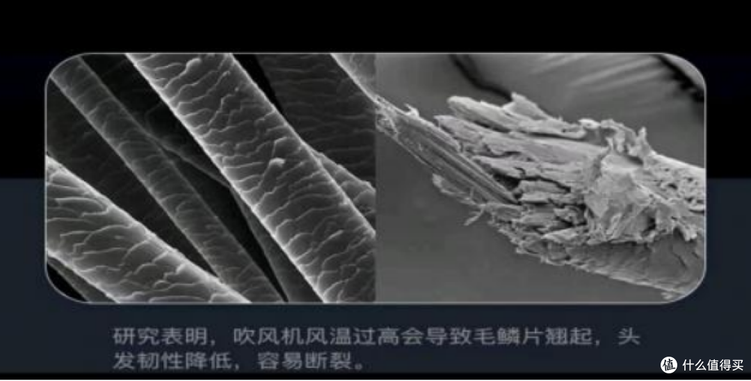 哪个牌子的电吹风质量好耐用？五大品牌测评优质耐用王