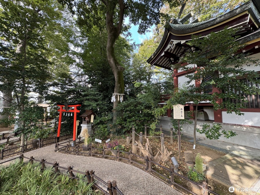 在日本的日子:一个背包,一个日本!第十一周!小城川越!
