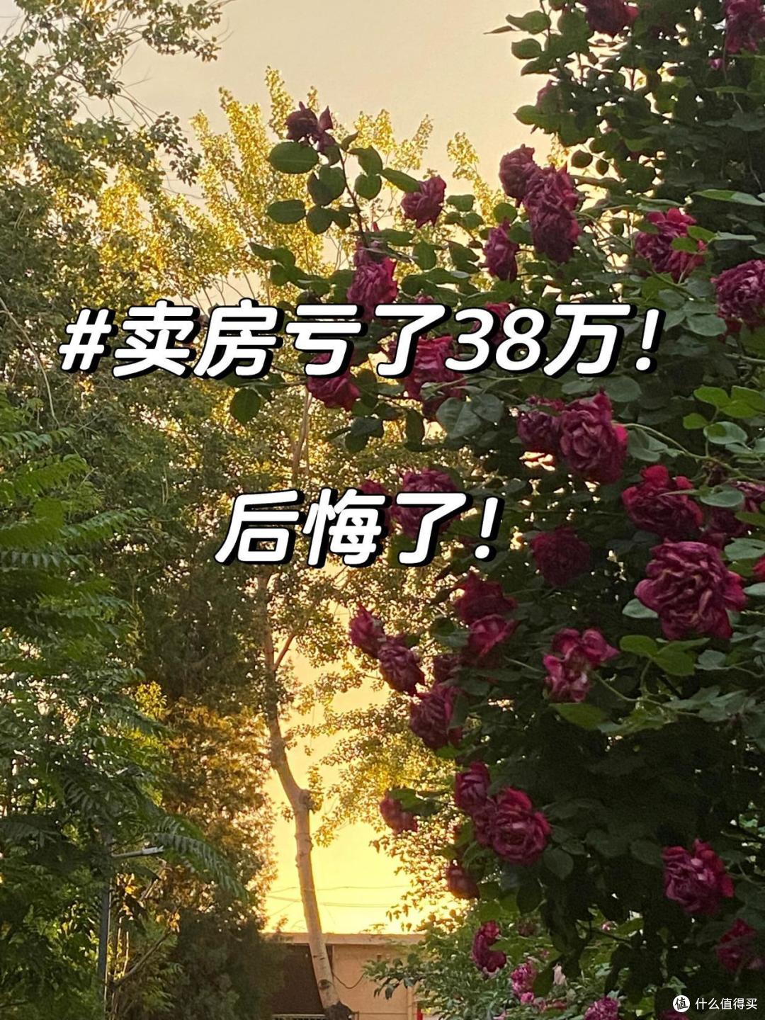 2024年卖掉房子的人,注定会后悔,再过两个月,房价或将暴涨