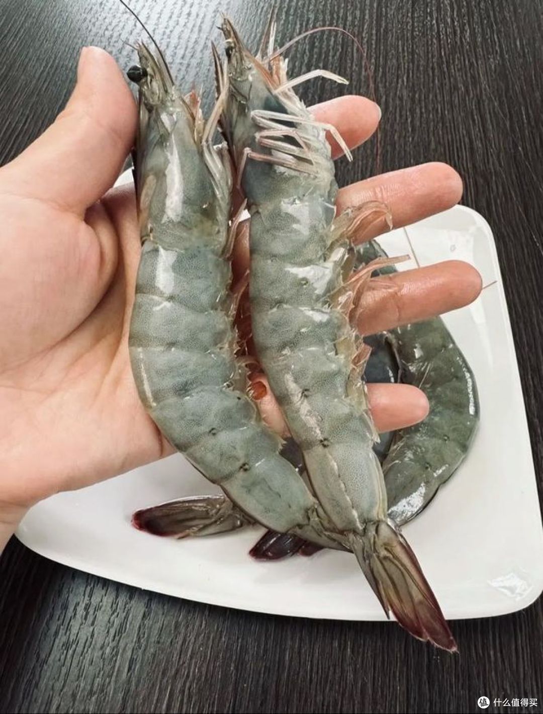 九节虾和基围虾的区别?哪种比较好吃?