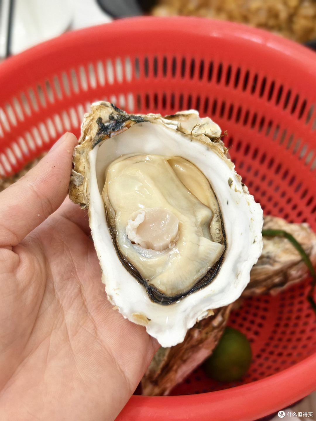 双11怎么能不买点吃的呢,来看看吃货小老板都买了什么好吃的