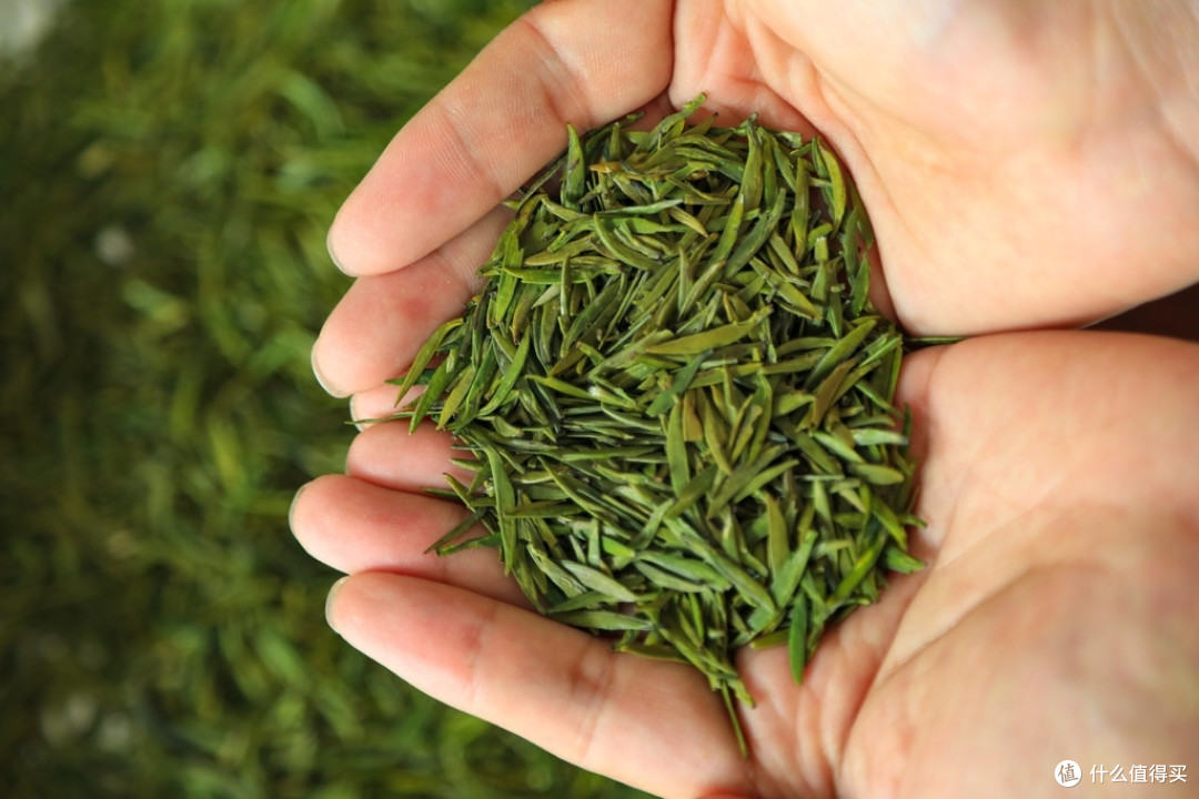 四川,哪些茶最值得喝?当地人推荐这10种,口感不输中国十大名茶
