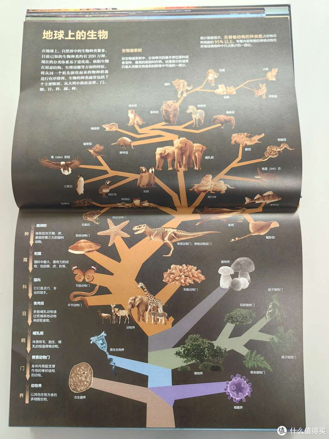 孩子的书架上必须有它！40余位专家耗时6年打造，超震撼的地理百科全书