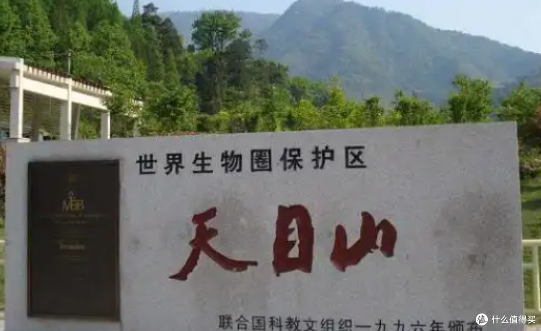 临安旅游攻略：探秘自然与文化的宝藏之地