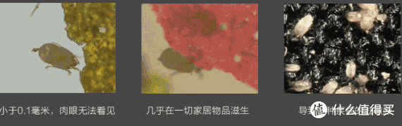 床垫不清洁竟然会脏到这种程度!一文教你如何保养和维护