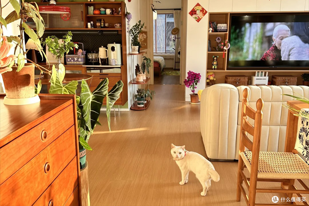 住了一年才明白:家里“最爽”的设计是这6个,真是少一个都难受