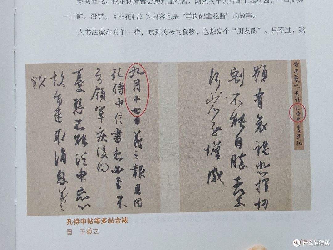 原来我对怀素的字是真爱!《画里有话》中的书法作品欣赏: 羲之的行楷,徽宗的瘦金体,怀素的狂草……