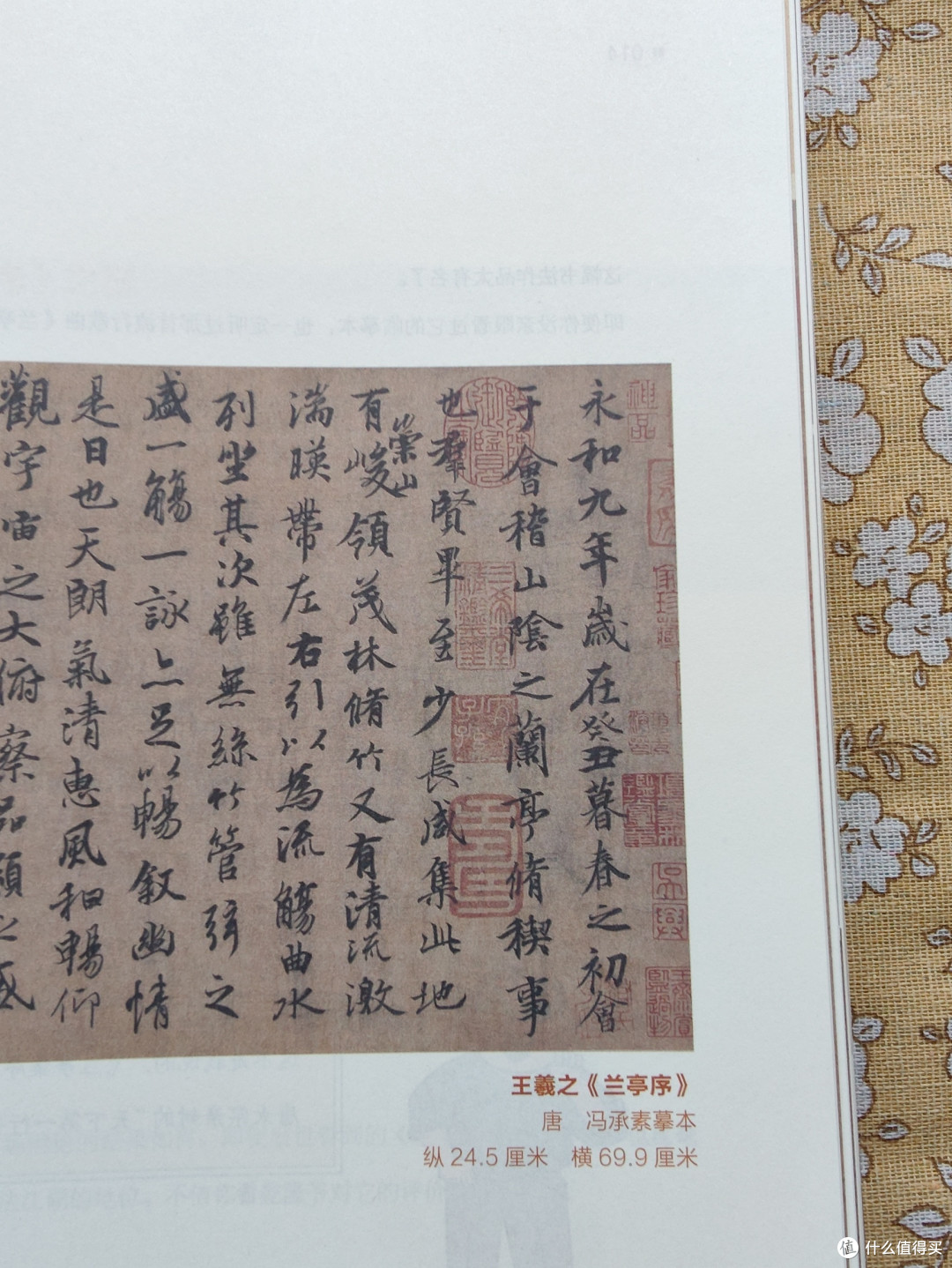 原来我对怀素的字是真爱!《画里有话》中的书法作品欣赏: 羲之的行楷,徽宗的瘦金体,怀素的狂草……