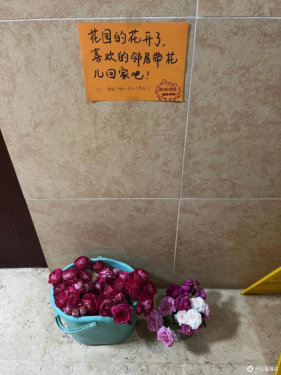 一个家庭有没有福气,看房子就知道了,不是迷信,是过来人的经验