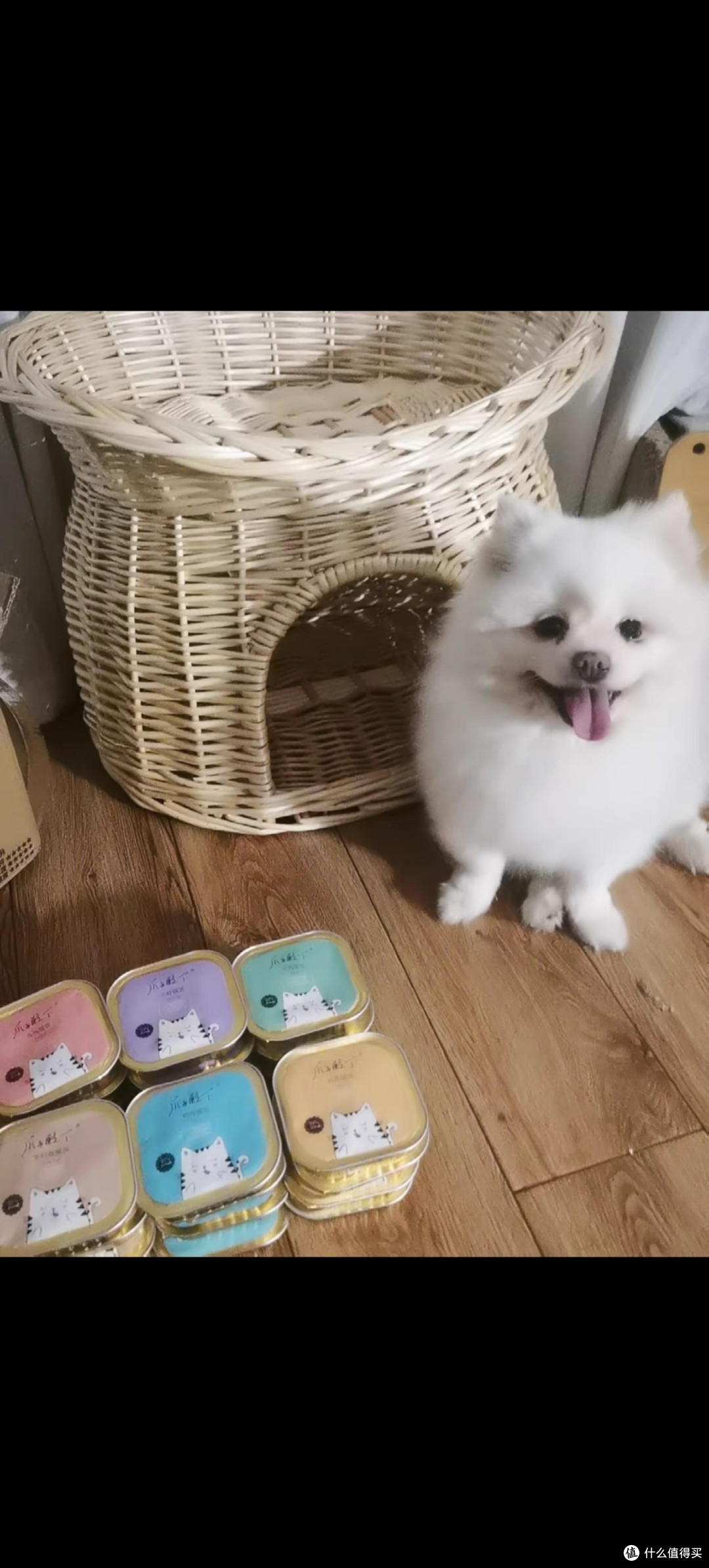 猫咪美食盛宴！自制鲜肉兔肉牛肉猫饭，营养又美味