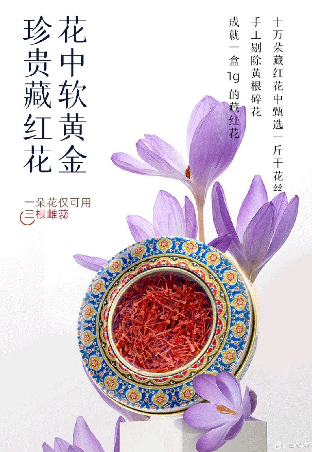 “花中黄金”_藏红花!