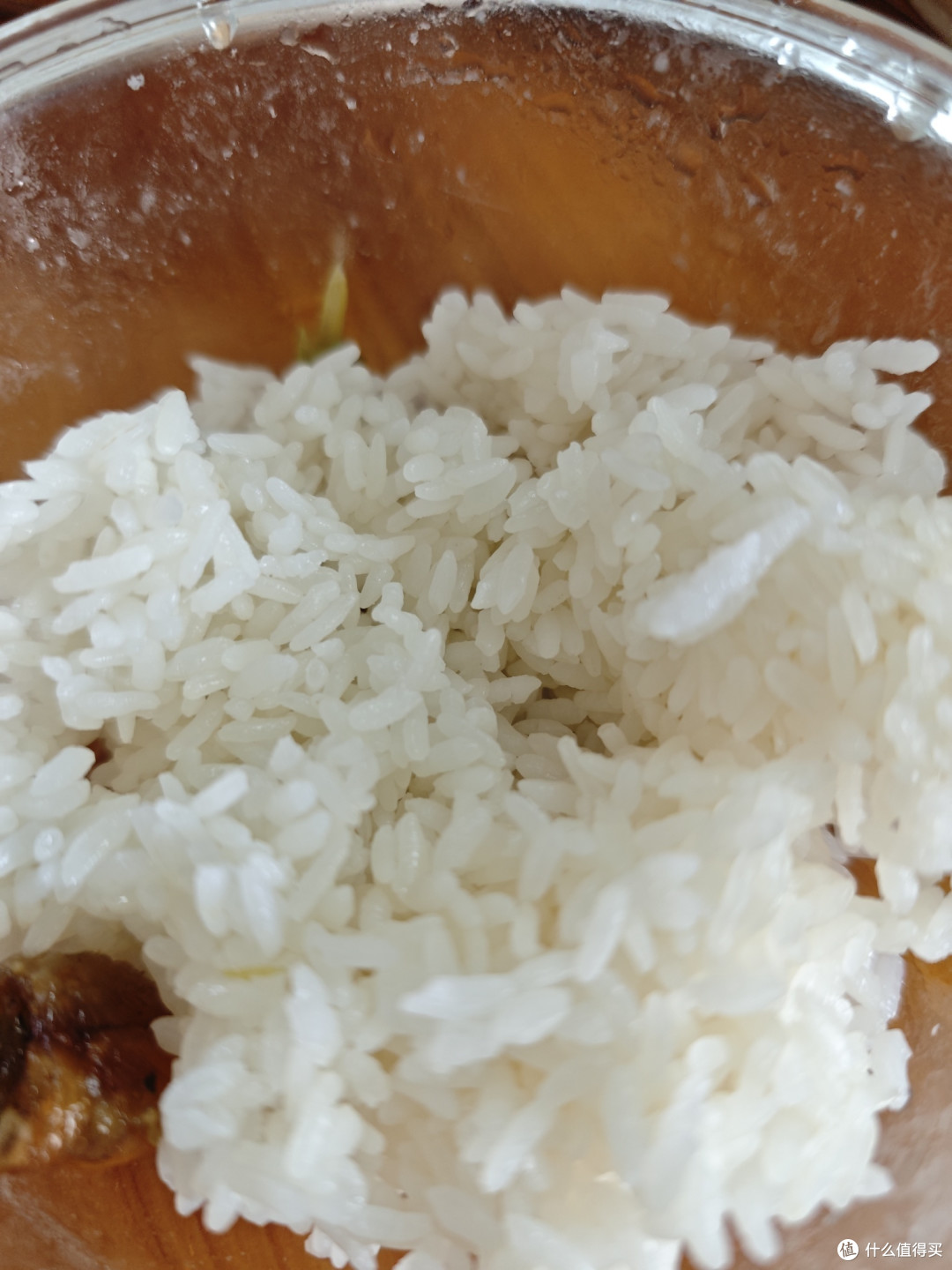 煮饭丝苗米试试