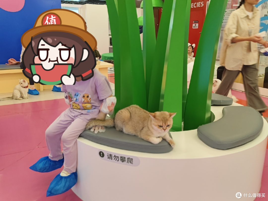 你会带孩子去撸猫吗?